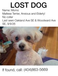 Reunited Male Dog last seen On the corner of Oakland Ave SE & Woodward Ave SE, Atlanta, GA 30312