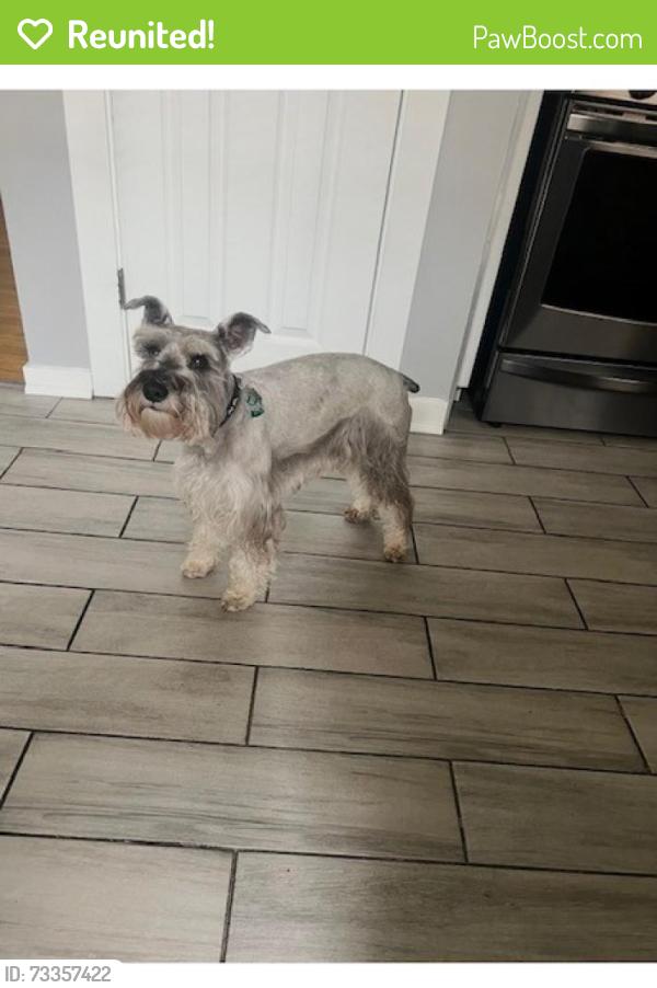 Reunited Male Dog last seen Near S Kolin, Chicago, IL 60652