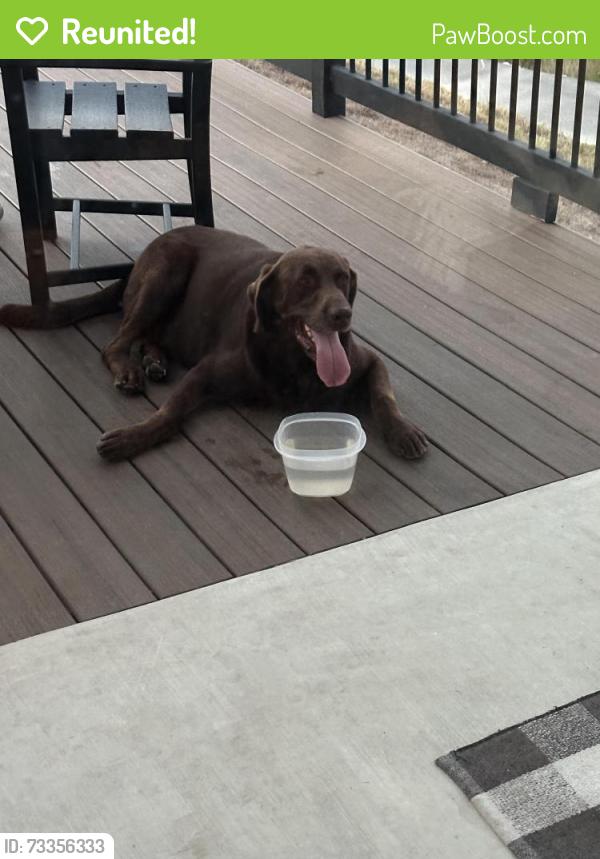 Reunited Male Dog last seen Eden Hill and Damar Cove, Canyon Lake, TX 78133