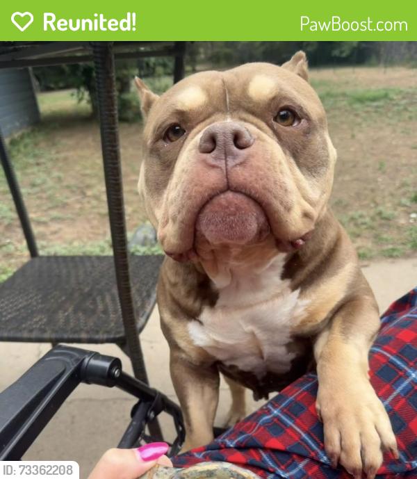 Reunited Female Dog last seen Cherry and n shields, Fort Collins, CO 80521