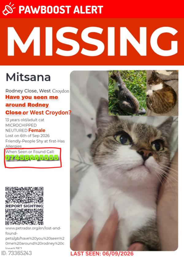 Lost Female Cat last seen Rodney Close West Croydon, Greater London, England CR0 3RX