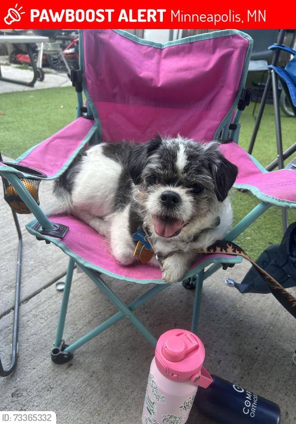 Lost Male Dog last seen Washburn, Minneapolis, MN 55430