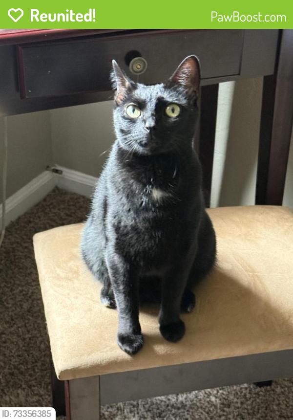 Reunited Female Cat last seen Entrance to Lafayette Heritage Park, Tallahassee, FL 32311