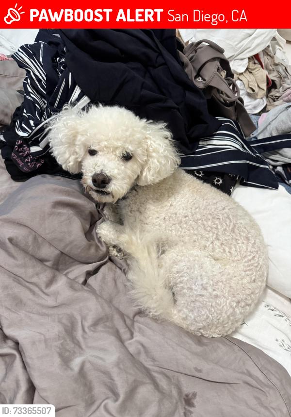 Lost Male Dog last seen Oliver and ingraham, San Diego, CA 92109