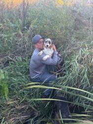 Reunited Female Dog last seen Near Ivanhoe st Brighton 80602, Brighton, CO 80602