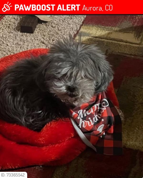 Lost Female Dog last seen Buckley & Quincy, Aurora, CO 80015