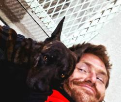 Lost Male Dog last seen Santa fe and center, Visalia, CA 93277