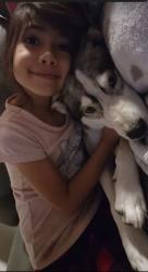Lost Female Dog last seen Barstow and clovis Ave, Clovis, CA 93612
