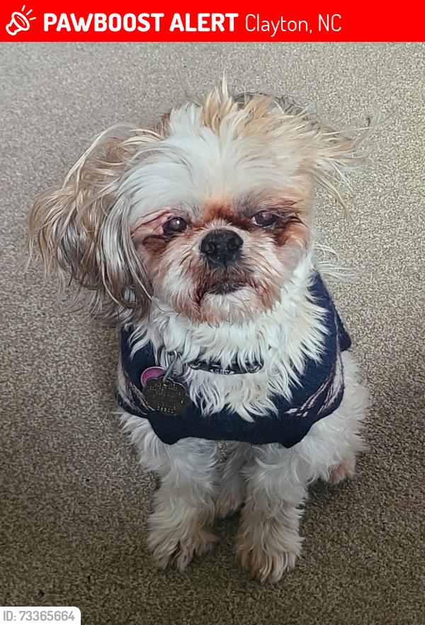 Lost Female Dog last seen S Murphy, Clayton, NC 27527