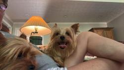 Lost Male Dog last seen By world mission church and bay creek rd, Loganville, GA 30052