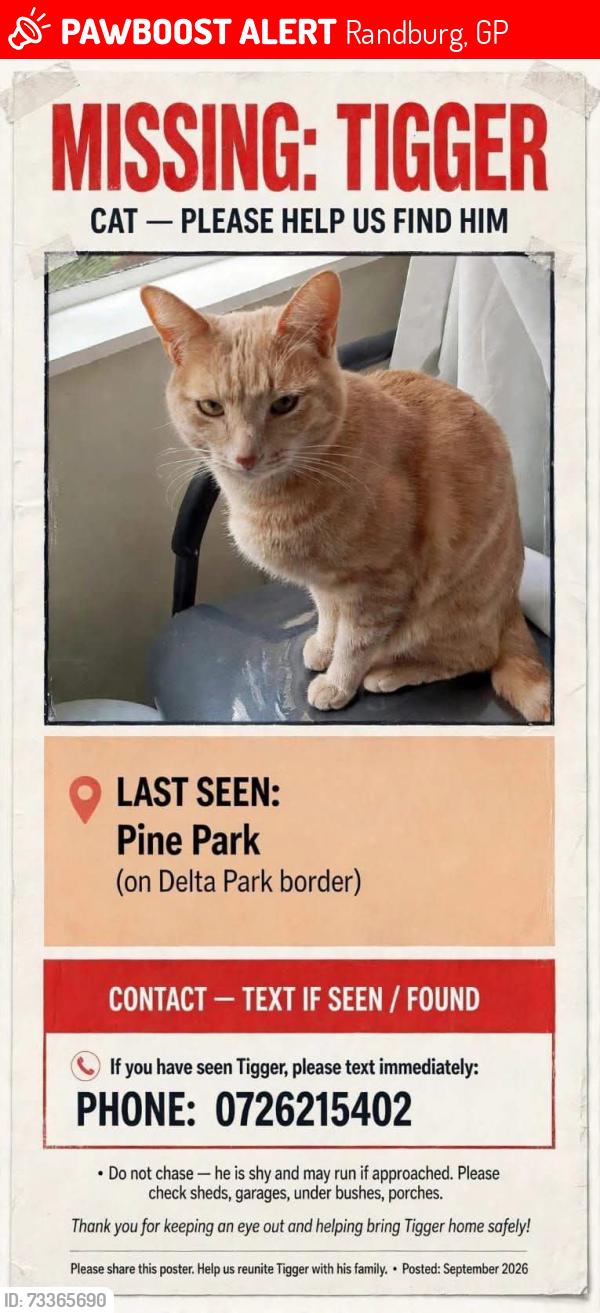Lost Male Cat last seen Delta Park, Randburg, GP 2194