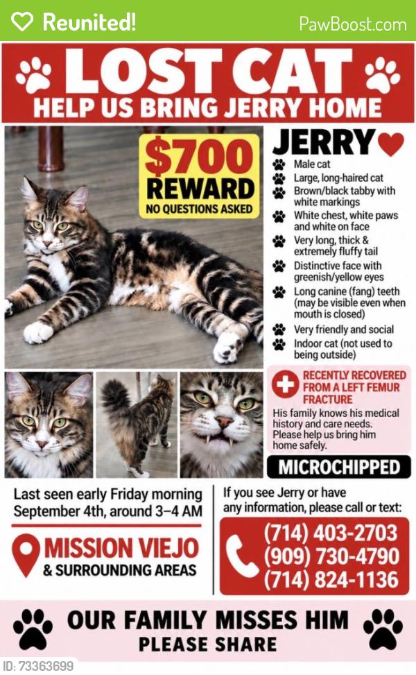 Reunited Male Cat last seen Aurora, Doria mission Viejo, Mission Viejo, CA 92691