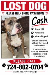 Lost Male Dog last seen Home, Dunbar, PA 15431