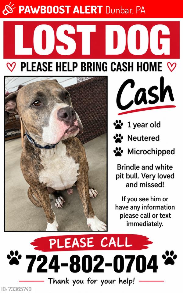 Lost Male Dog last seen Home, Dunbar, PA 15431