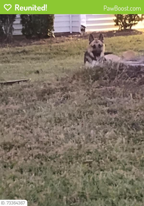 Reunited Male Dog last seen Near Belle Bragg Way, Charlotte, NC 28214