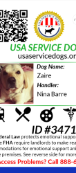 Lost Male Dog last seen sonnys BBQ, Baton Rouge, LA 70815
