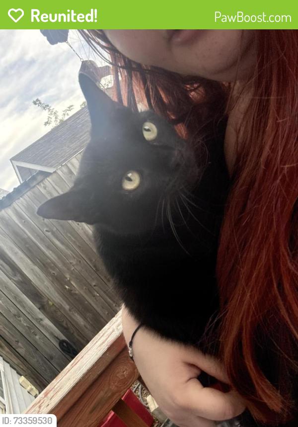 Reunited Female Cat last seen By the s in Norwalk, Norwalk, IA 50211