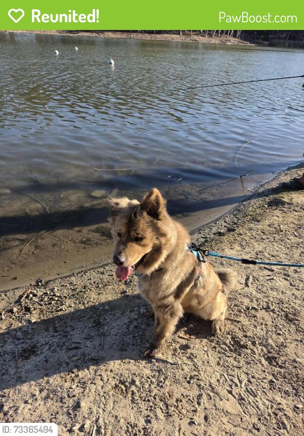 Reunited Male Dog last seen Euclid and Chollas Rd, San Diego CA, San Diego, CA 92105