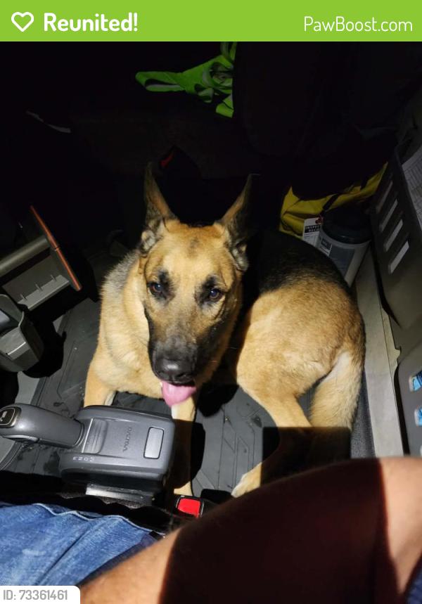 Reunited Female Dog last seen Near at DOT Inspection site by exit 73 (near McDonald's and Lafayette dental associates), LaFayette, NY 13084