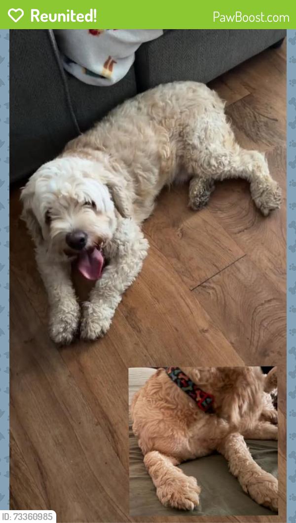 Reunited Male Dog last seen Near Hanover St, Aurora, CO 80010, USA, Aurora, CO 80010