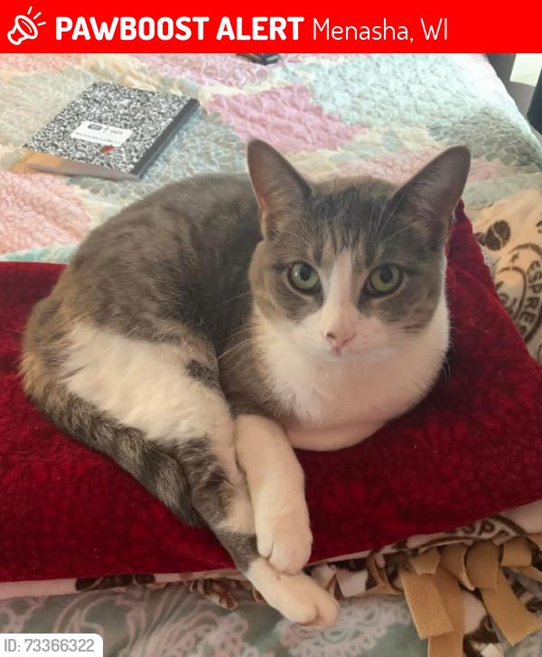 Lost Female Bird last seen Manitowoc and 6th, Menasha, WI 54952