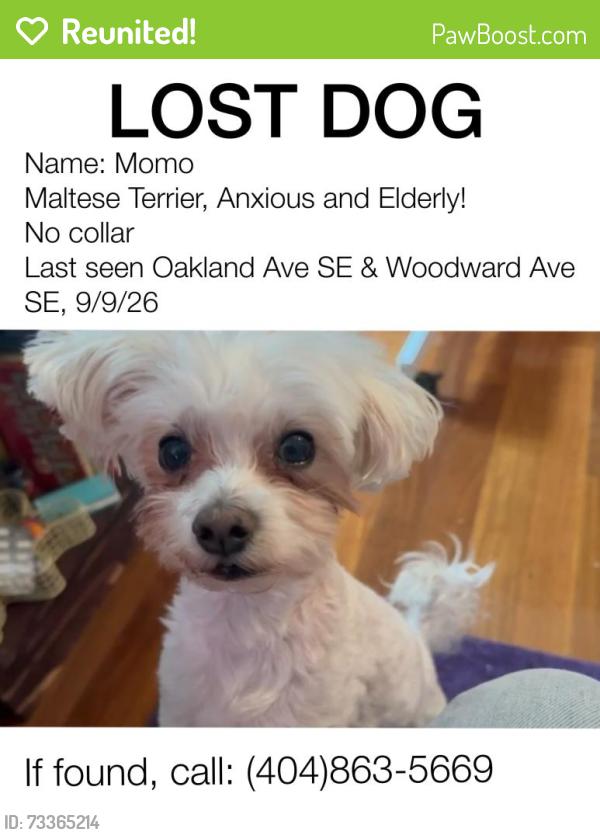 Reunited Male Dog last seen On the corner of Oakland Ave SE & Woodward Ave SE, Atlanta, GA 30312