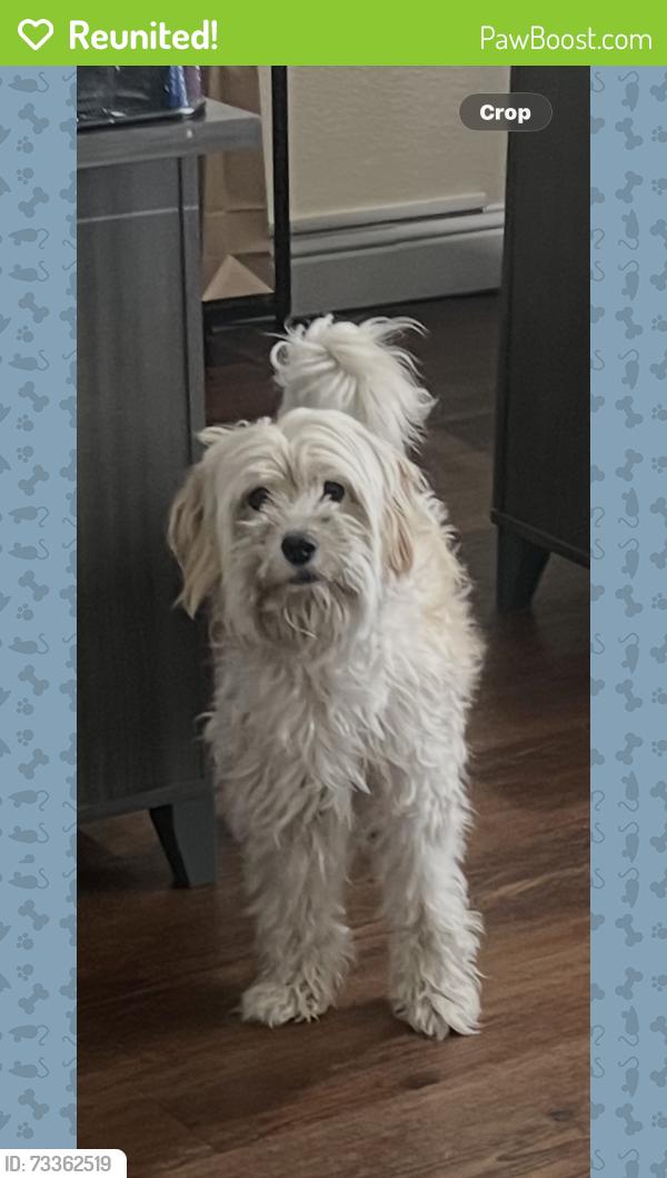 Reunited Male Dog last seen Don Ave, Stockton, CA 95209