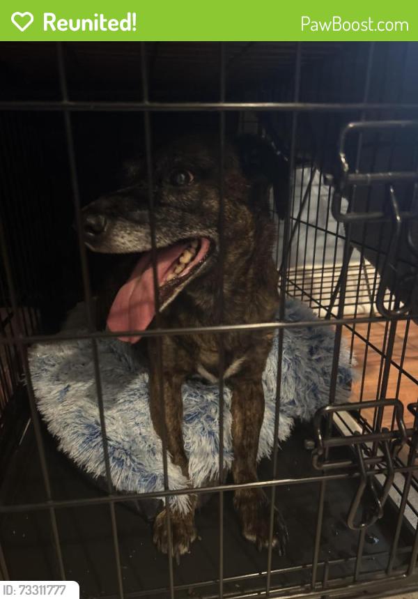 Reunited Unknown Dog last seen Marsh Road near Naamans., Wilmington, DE 19809