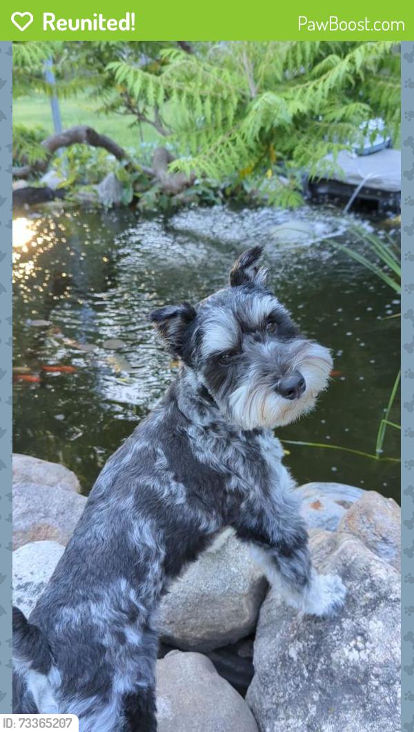 Reunited Male Dog last seen Leonard & Carpenter NW. By the Highlands., Grand Rapids, MI 49504