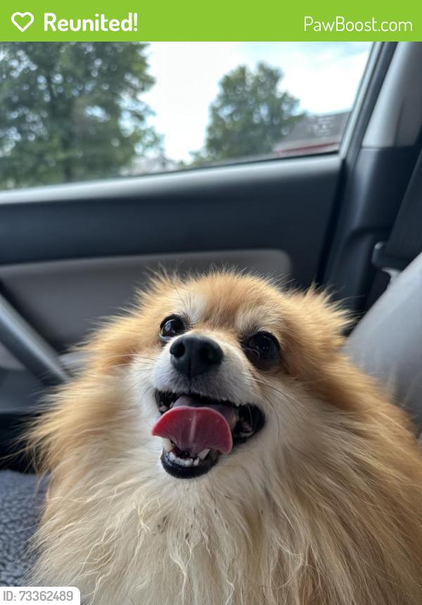 Reunited Male Dog last seen Around 1945 Church Road, York, PA, York, PA 17408