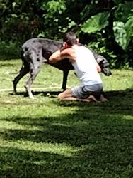 Reunited Unknown Dog last seen Truman, Pensacola, FL 32505