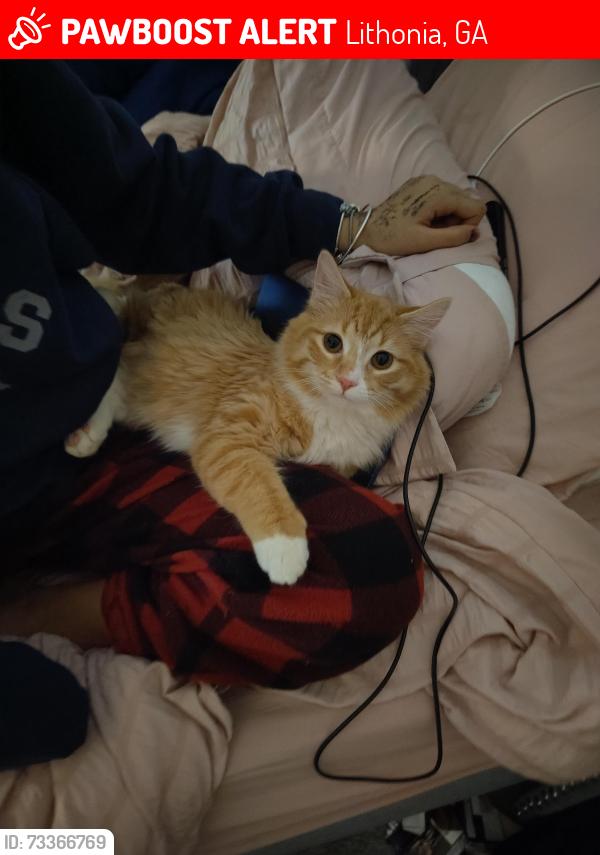 Lost Male Cat last seen Shirewick subdivision panola rd, Lithonia, GA 30058