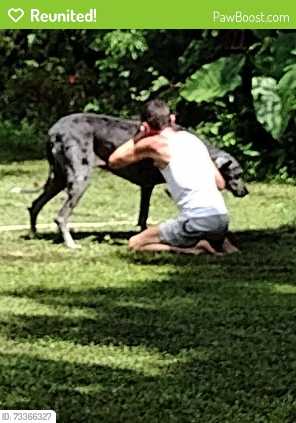 Reunited Unknown Dog last seen Truman, Pensacola, FL 32505