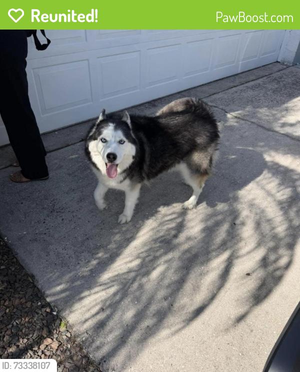 Reunited Male Dog last seen Escaped from 6286 Rock Creek at 6:40PM, Ellenton, FL 34222