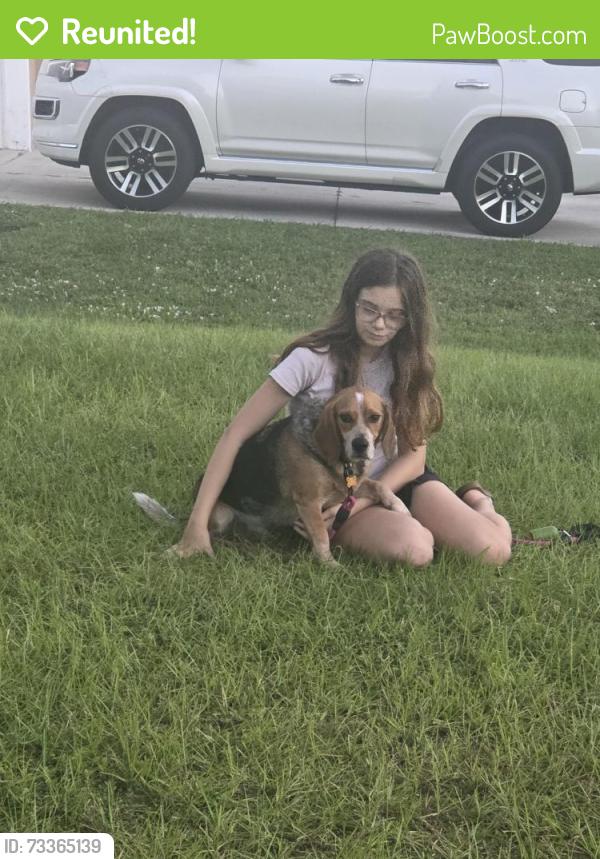 Reunited Male Dog last seen Eldron Blvd and Toulon Road Madden Park area, Palm Bay, FL 32909
