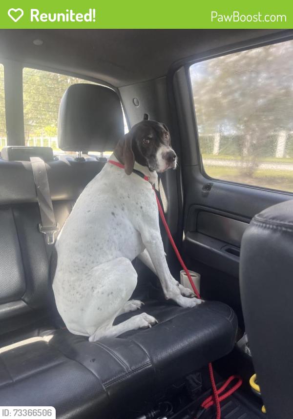 Reunited Male Dog last seen Berryknoll and Willcrest, Houston, TX 77411