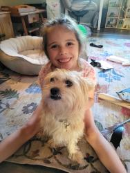 Reunited Female Dog last seen Brooktree Park, Citrus Heights, CA 95621