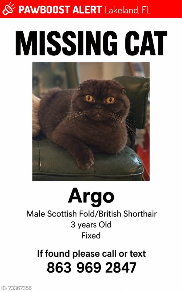 Lost Male Cat last seen Old Polk city road, Lakeland, FL 33809