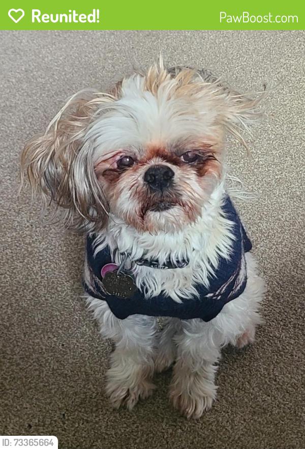 Reunited Female Dog last seen S Murphy, Clayton, NC 27527