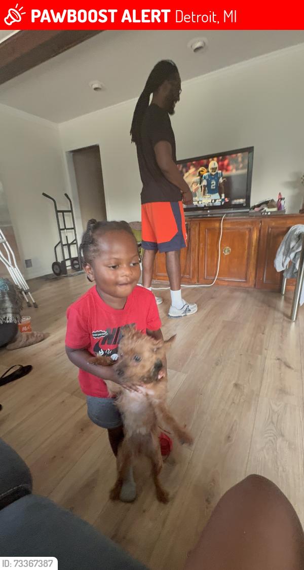 Lost Female Dog last seen Lathup village, Detroit, MI 48226