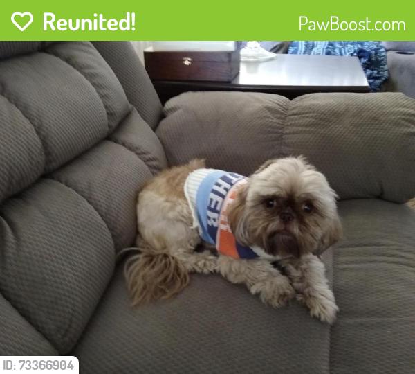 Reunited Female Dog last seen Emerson & Hanford, Yucca Valley, CA 92284