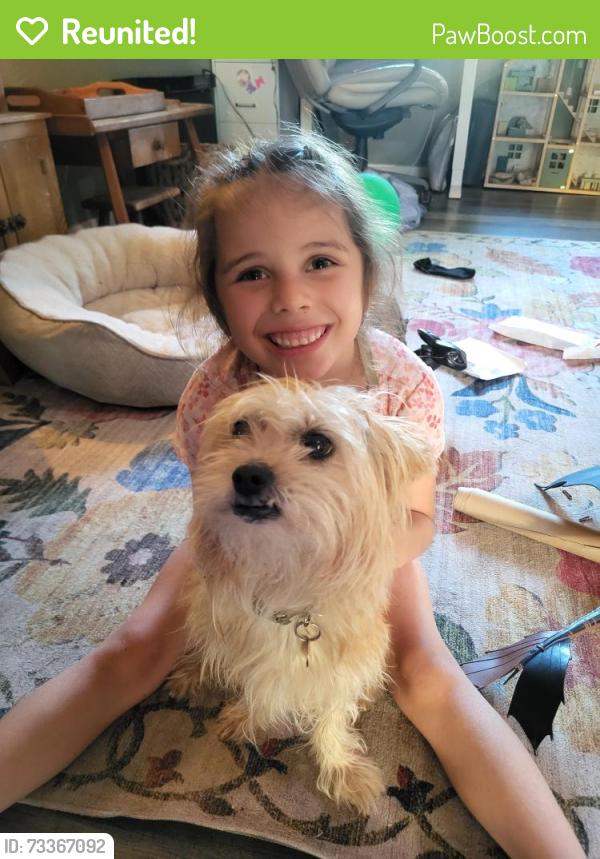 Reunited Female Dog last seen Brooktree Park, Citrus Heights, CA 95621