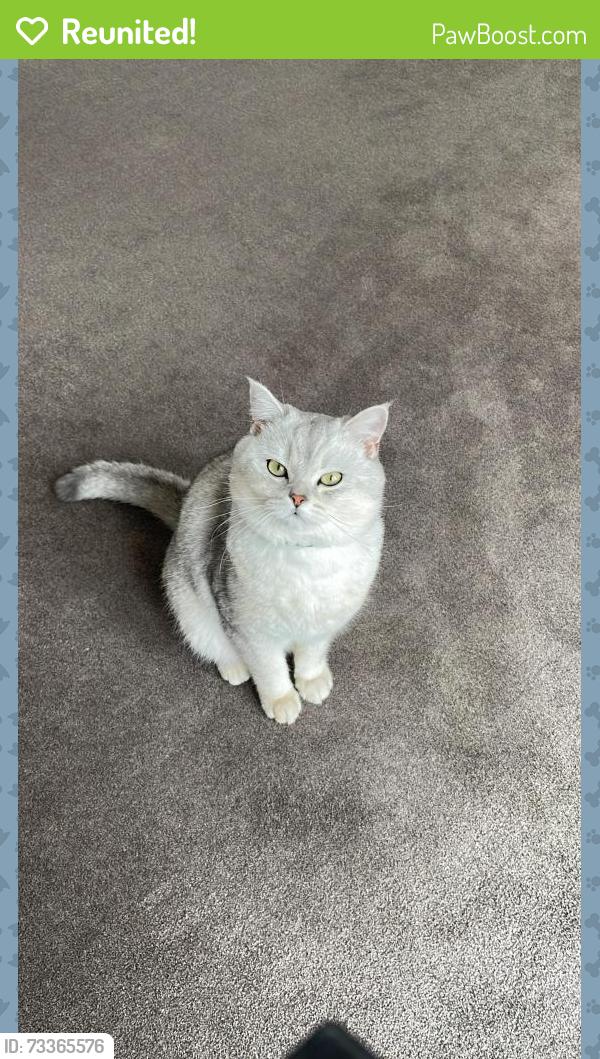 Reunited Male Cat last seen Campion Way, Hethersett, England 