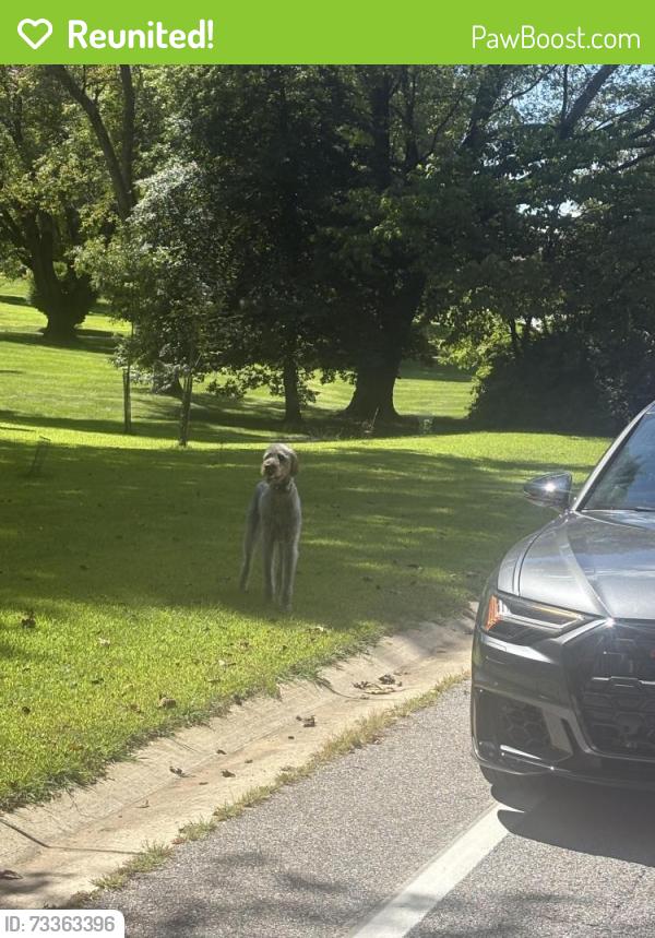 Reunited Unknown Dog last seen Seen roaming around Prestwick and River Clyde Dr, Highland, MD 20777