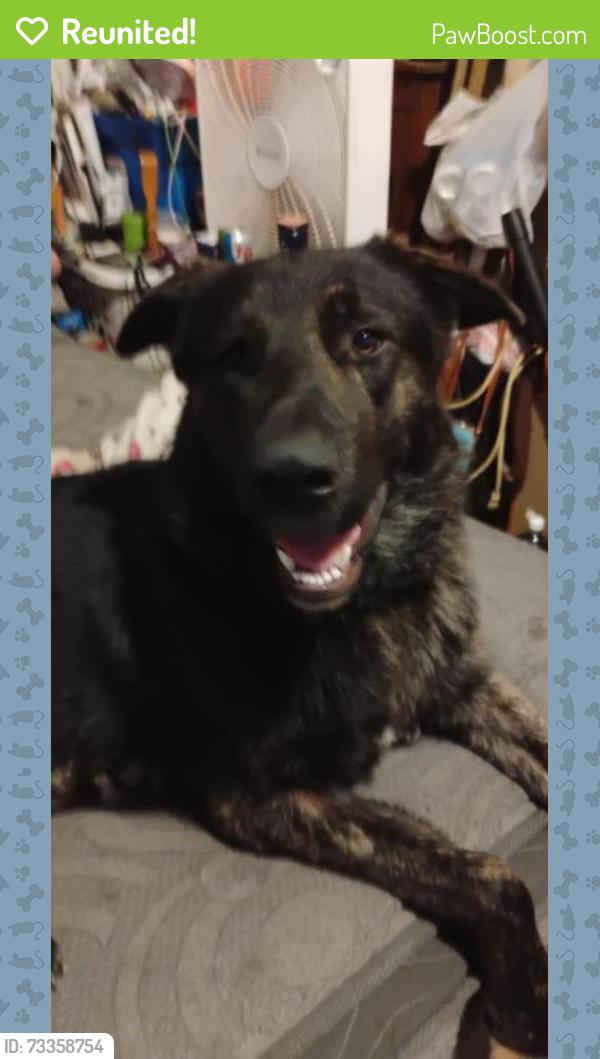 Reunited Male Dog last seen N. 13th Street, Terre Haute, IN 47807