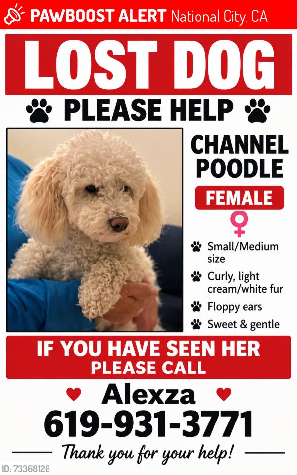 Lost Female Dog last seen Kimball park, National City, CA 91950