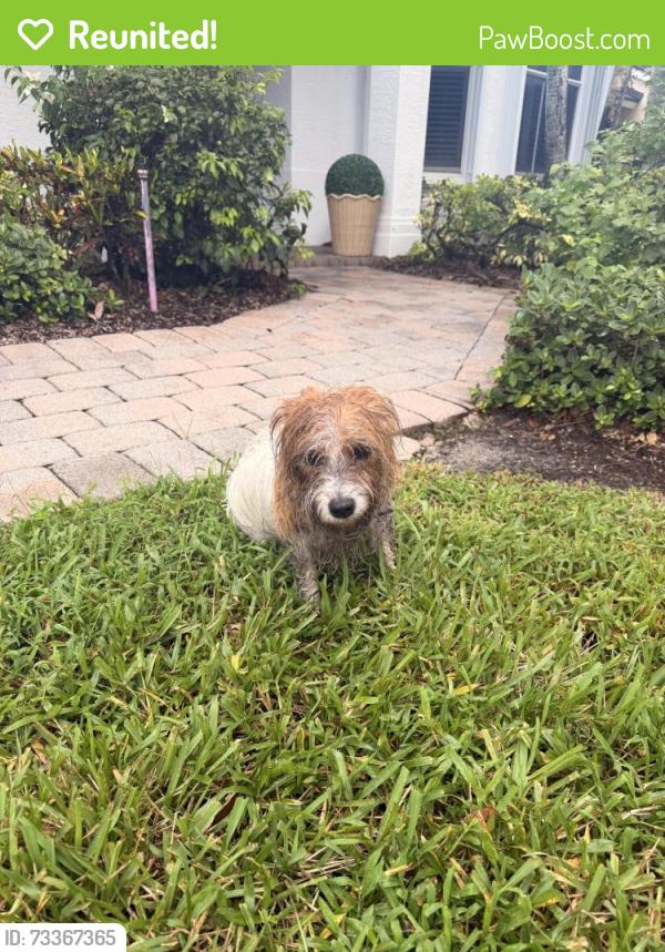 Reunited Unknown Dog last seen Near savannah ests dr, Wellington, FL 33467