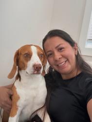 Lost Male Dog last seen Near Walnut Wood Drive, Kearns, UT 84118