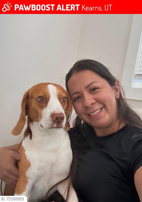Lost Male Dog last seen Near Walnut Wood Drive, Kearns, UT 84118