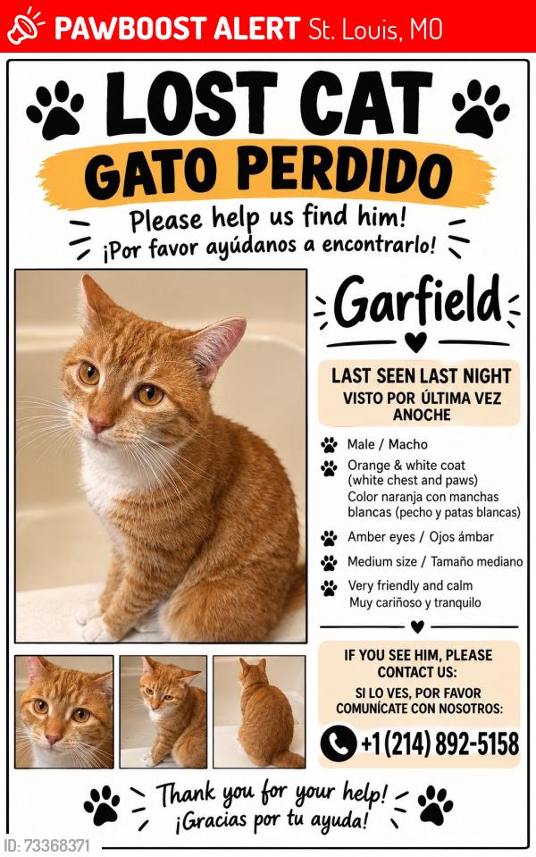 Lost Male Cat last seen Yo vivo en la Farlin Ave después viene la Clements y por detrás estamos la Eastman Av, St. Louis, MO 63115